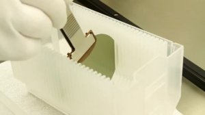 Презентация Республики Мордовия