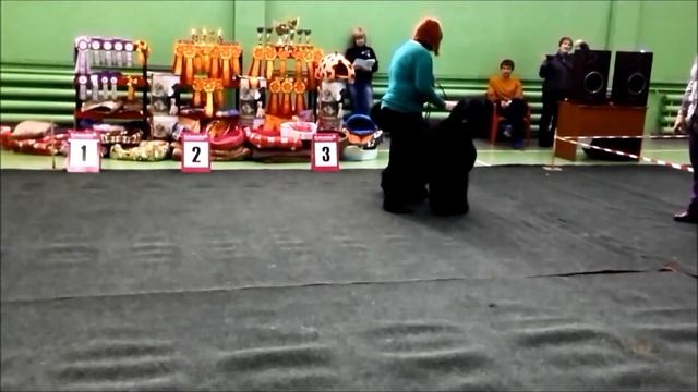 моно, Иркутск, 25.01.15 смотреть онлайн