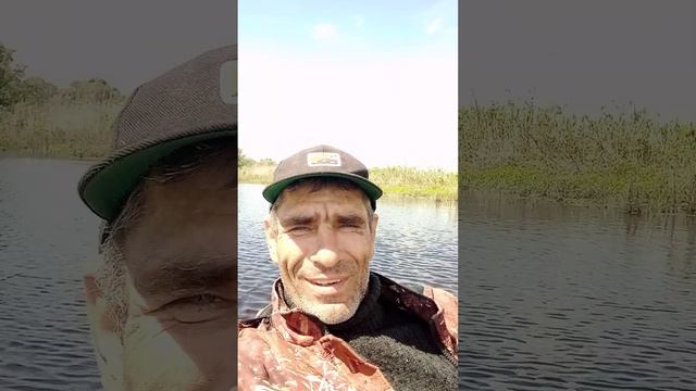 рыбачили на Припяти смотреть онлайн