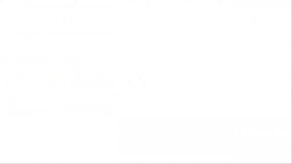 Установка бетонных отбойников  Probst