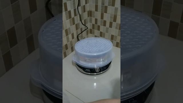 REVIEW TEFAL ULTRACOMPACT FOOD STEAMER VC204810 | GEAVLOG #32