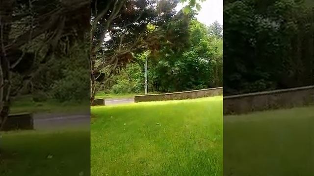 ????добрая Ирландия и рыжие люди.?? смотреть онлайн