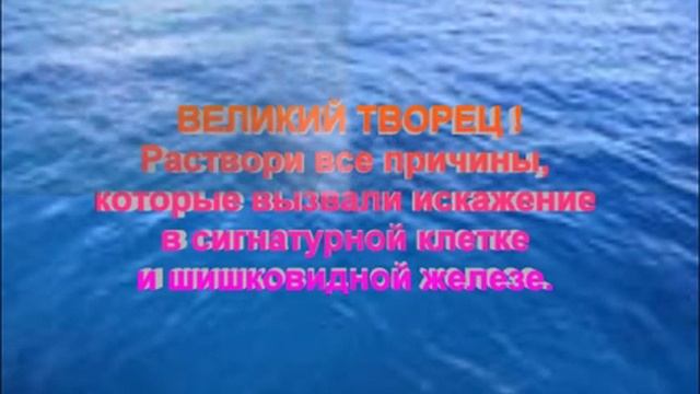 ОКЕАН ВСЕЛЕНСКОЙ ЛЮБВИ - на конференции смотреть онлайн