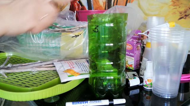 Самый простой способ укоренения винограда (чубуков) - от Натальи Ромашки смотреть онлайн