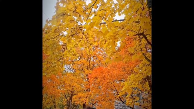 Золотая осень в детском саду смотреть онлайн