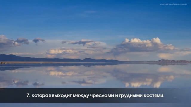 Сура ат-Тарик | Имад аль-Мансари смотреть онлайн