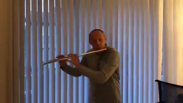 Shostakovich - Waltz No.2 - Flute смотреть онлайн