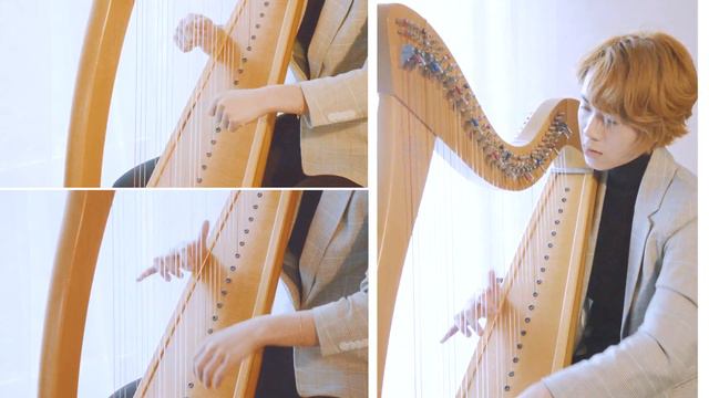 Genshin Impact Medley - Celtic Harp смотреть онлайн