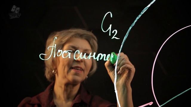 Интерфаза и ее стадии. 9 класс. смотреть онлайн