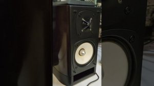 Тест акустики onkyo d-112ext (4)