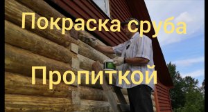 Покраска сруба бесцветной пропиткой