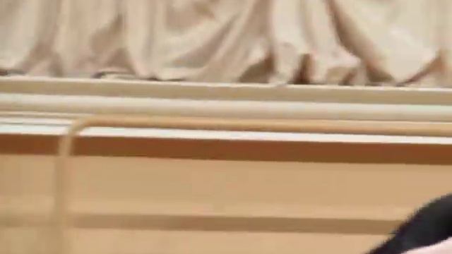 Б.Мартину. Мадригал для скрипки и альта