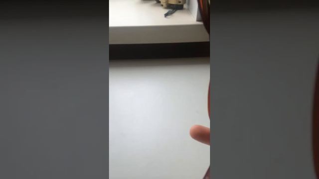 Обзор Gucci очков!Для фанов гуччи/для фанов очков смотреть онлайн