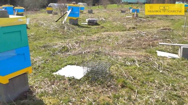 Взяток с ивовых на Северо-Западе смотреть онлайн