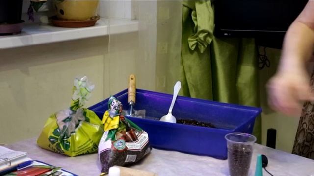 185_Перец. Ранний посев. смотреть онлайн