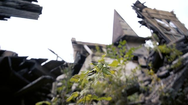 Дамирыч и Настя П - Ниточка смотреть онлайн