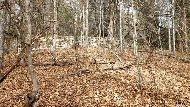 Appalachia Exploring Forgotten Places смотреть онлайн