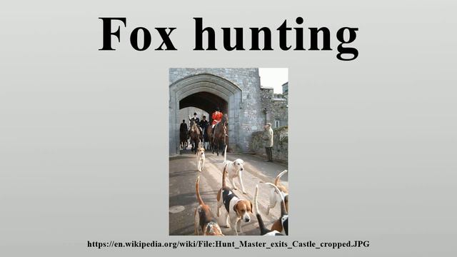Fox hunting смотреть онлайн