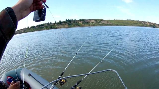 Сазаны дают жару. Два штуки в одни руки. Рыбалка на донки. смотреть онлайн