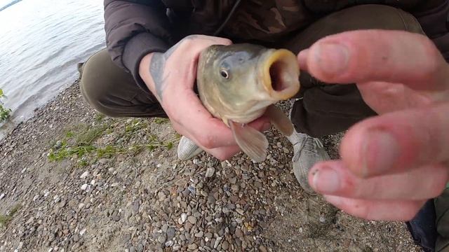 КЛЁВ на ХЛЕБ С ДОБАВКОЙ секретной КРУПЫ. Рыбалка с ночёвкой! смотреть онлайн