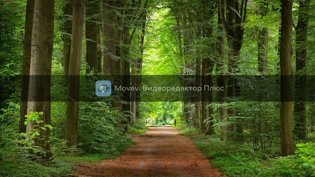 music for relax, расслабляющая музыка, music for meditation, музыка для медитации смотреть онлайн