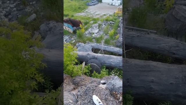 Артель "Мебель Лофт" первичный цех обработки Киргизского, Казахского, Южно-Уральского ореха и вяза. смотреть онлайн