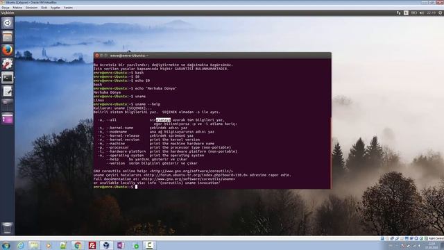 2- whomai which whereis uname Komutları - Linux ve Shell Script Eğitimi смотреть онлайн