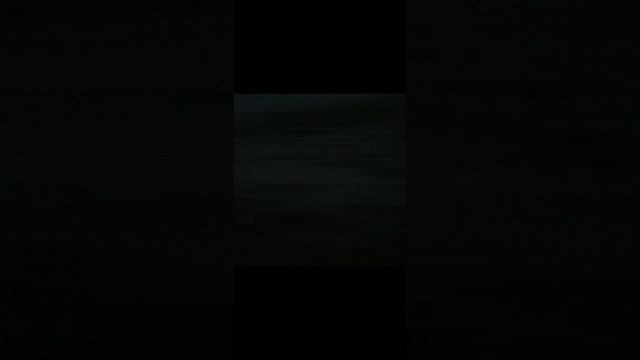 Кошки деруча