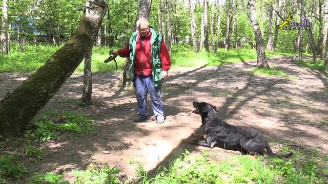 Босерон, Тарзанка и движение рядом смотреть онлайн