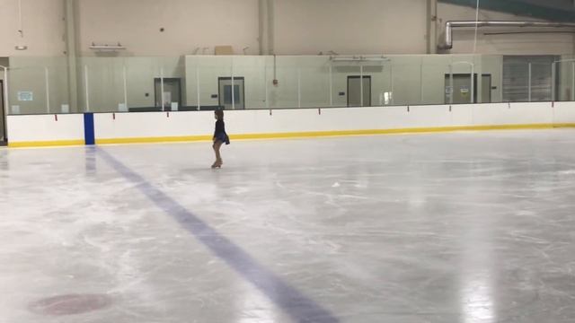 Тест по фигурному катанию в Америке сдан! USFSA MIF Pre-Juvenile Test PASSED!