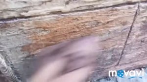 Самая Красивая Фасадная Штукатурка  из Обычного Плиточного Клея  Отделка цоколя  своими руками