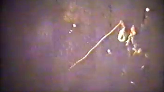 Арабика_1982 смотреть онлайн