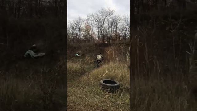 серые деньки могут быть радостными