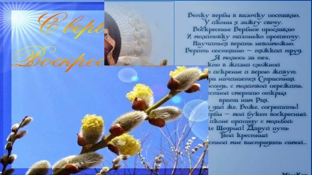 Вербное воскресенье.Освященная верба, как потом быть