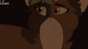 [Коты воители] клип Пестролистая..