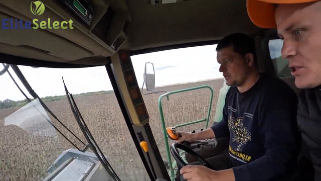 Уборка 2022 на Дніпропетровщині ЕС Саксон. ДОЩ Та якісне Насіння = Гарний результат. смотреть онлайн