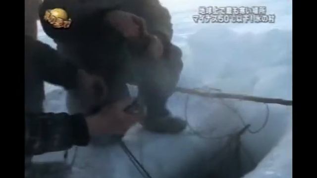 Yakutia. Японцы в далёкой прекрасной Якутии.