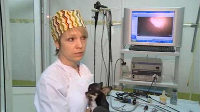 Ветеринарная клиника доктора Чулковой