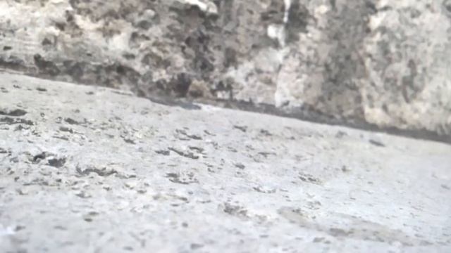 Sounds of Film - Loading 35mm film | Zenit TTL | ASMR Film Photography смотреть онлайн