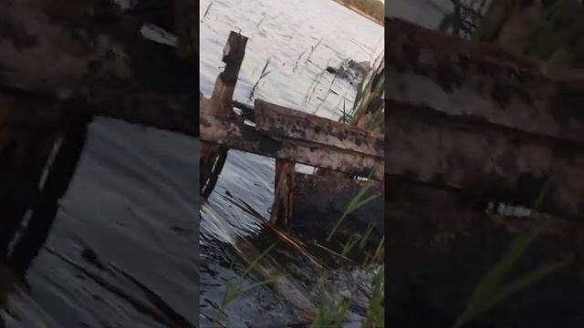 рыбалка река Северский Донец Каменск-Шахтинский смотреть онлайн