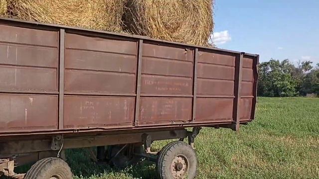 Сенокос 2023г. Приборка сена. Турс 1500м. мтз 82.1 мтз 80. смотреть онлайн
