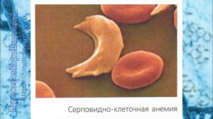 Биология 9 класс Пасечник $23 Методы изучения наследственности человека