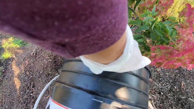 Как я поливаю свои клумбы. смотреть онлайн