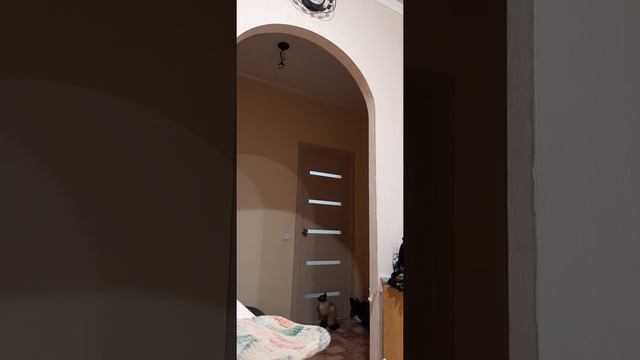 Мать. смотреть онлайн