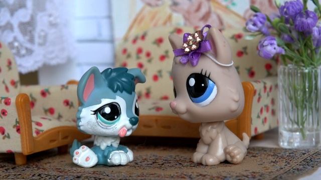 LPS / ОПЯТЬ ДРАЛСЯ #shorts ВОВОЧКА #2 смотреть онлайн