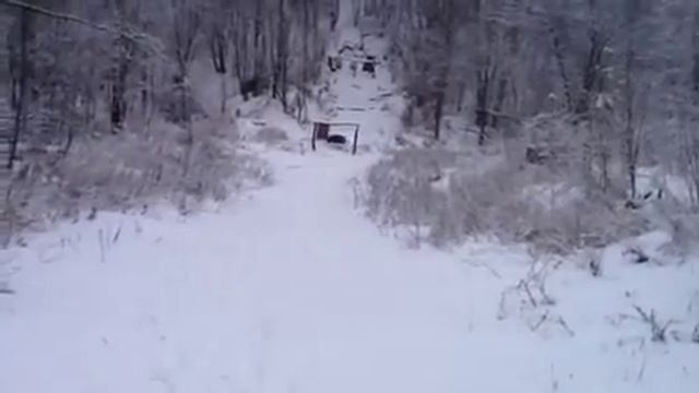 Бегущий кабан, мишень. смотреть онлайн