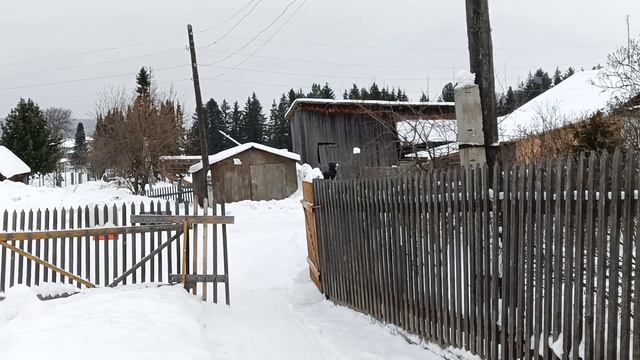 Перевозка дров моноколесом смотреть онлайн