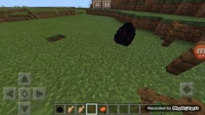 Как вырастить яйцо Эндр дракона???!!!!