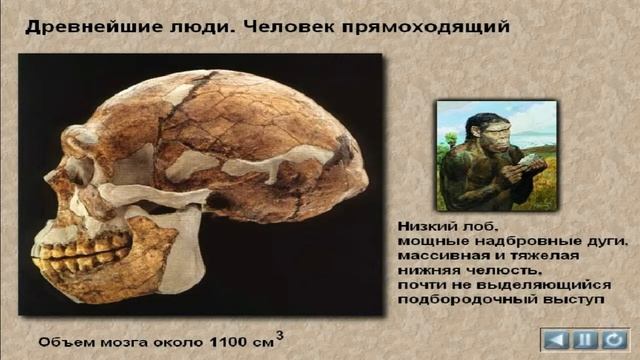 Древнейшие люди Человек прямоходящий смотреть онлайн