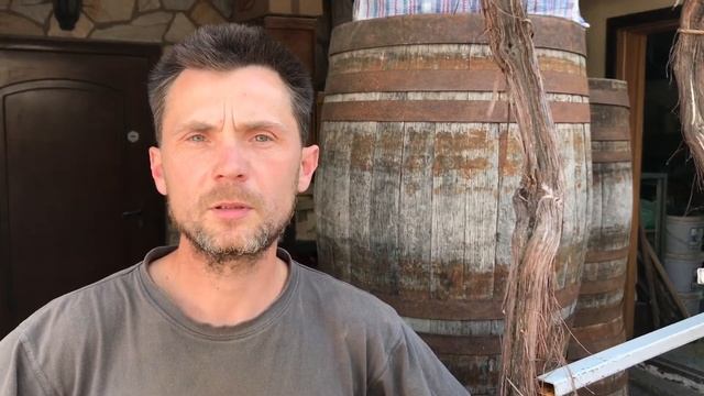 Мильдью. Оидиум. Обработка винограда весной. смотреть онлайн